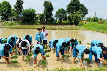 अन्नपूर्ण स्कुलका विद्यार्थीद्वारा खेतमा धान रोप्दै दही–चिउरा खाएर मनाइयो राष्ट्रिय धान दिवस